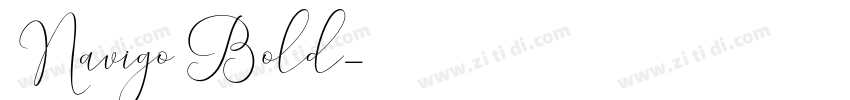 Navigo Bold字体转换